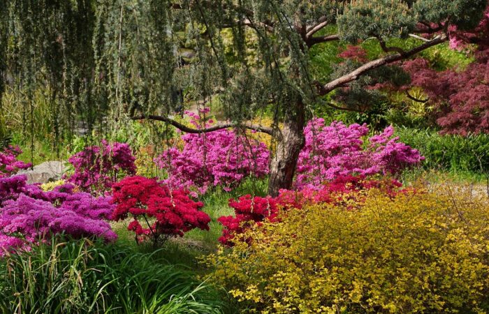 Fleurissez_votre_jardin_au_printemps_avec_ces_6_astuces_très_simples_!